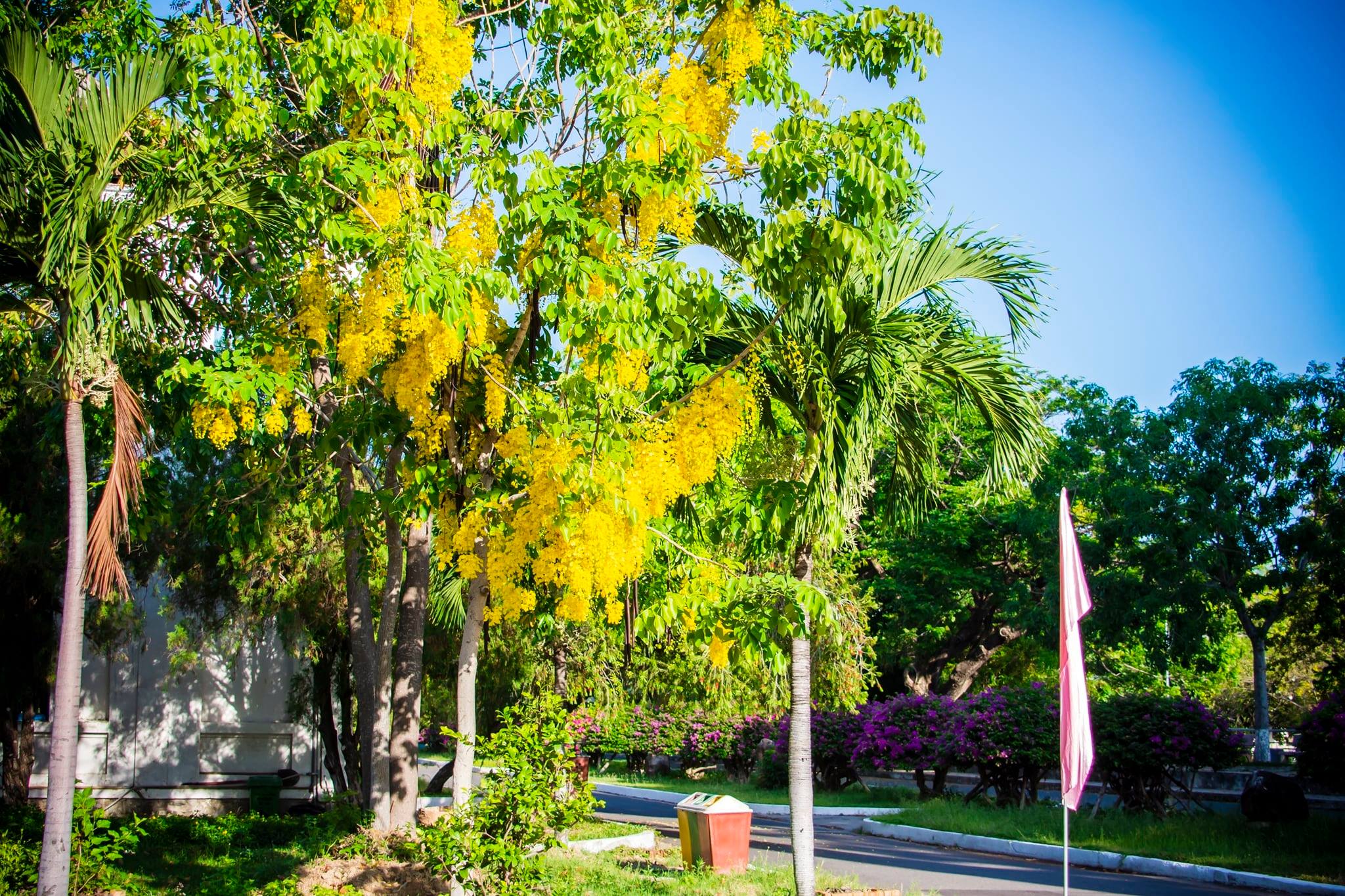 QUY CHẾ: TUYỂN SINH ĐẠI HỌC HỆ CHÍNH QUY; TUYỂN SINH CAO ĐẲNG NHÓM NGÀNH ĐÀO TẠO GIÁO VIÊN HỆ CHÍNH QUY (2018)